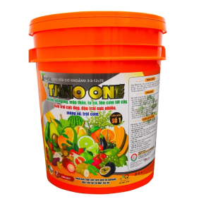 TANO ONE LỚN TRÁI