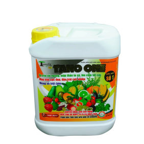 TANO ONE LỚN TRÁI SỐ 1 