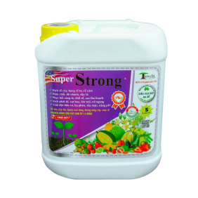 CAN SUPER STRONG PLUS 