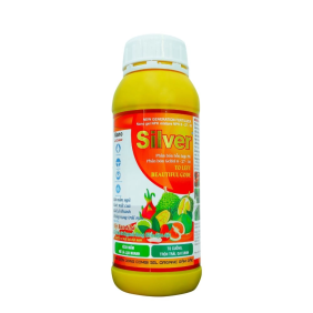 SILVER LỚN TRÁI, VÀO CƠM, CHỐNG SƯỢNG MÚI| VTNN BẢO DUY ĐAK LAK