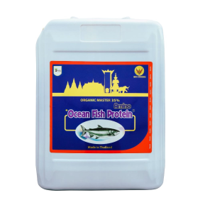 OCEAN FISH CAN 10 LÍT