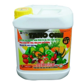 TANO ONE LỚN TRÁI SỐ 1 | VTNN BẢO DUY ĐAK LAK