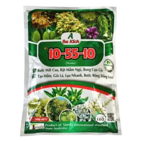 A BA KÍCH (10-55-10+TE) tạo mầm hoa | VTNN BẢO DUY ĐAK LAK