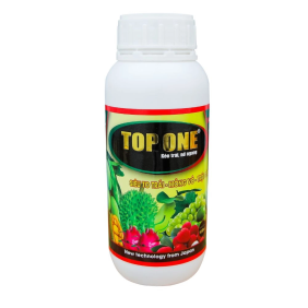 TOP ONE - KÉO TRÁI NỞ NGANG, CHỈNH TRÁI, TRÒN TRÁI| VTNN BỎA DUY ĐAK LAK