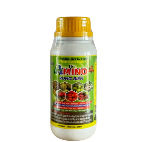 AMINO RONG BIỂN_ PHÂN BÓN LÁ