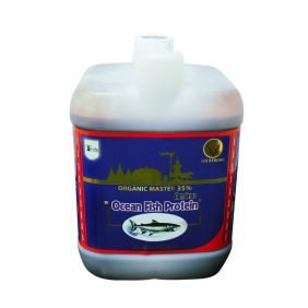 OCEAN FISH CAN 5 LÍT