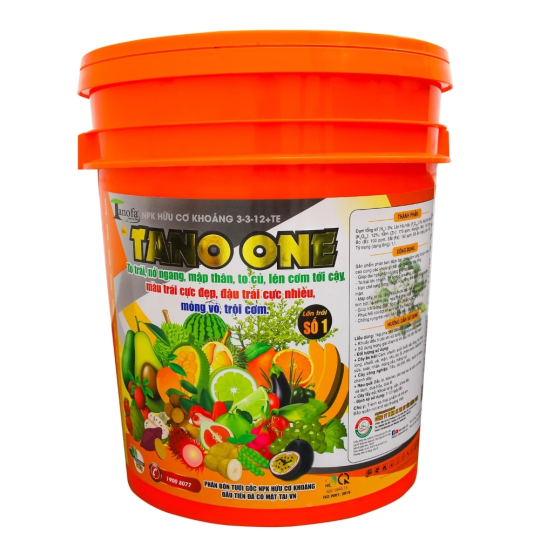 TANO ONE LỚN TRÁI