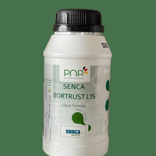 PHÂN BÓN LÁ NEMO BORON NHẬP KHẨU TÂY BAN NHA 1000ML | VTNN BẢO DUY ĐAK LAK