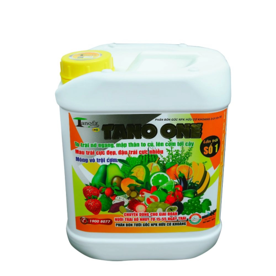 TANO ONE LỚN TRÁI SỐ 1 