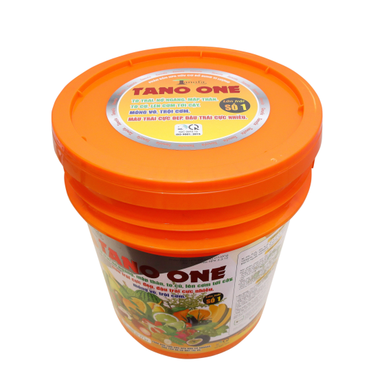 TANO ONE LỚN TRÁI