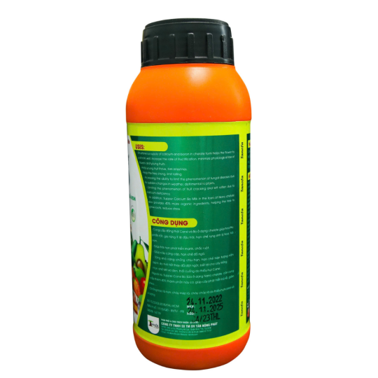 CANXI BO TÂY BAN NHA, ĐẬU TRÁI CHỐNG RỤNG